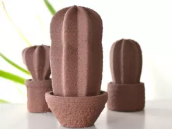 Catus