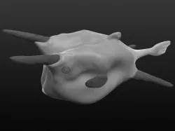 Cowfish