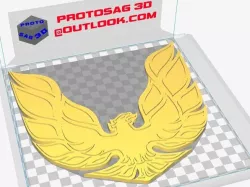 Emblem Pontiac Trans am