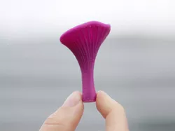 Fungus