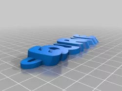 My Customized iamburny's v2  Text - Name Keyring / Keyfob