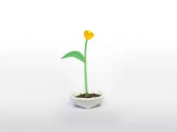 Polypod - Polygon flower pod