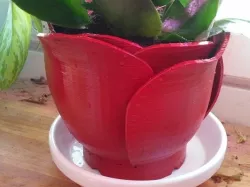 Rose petal flower pot