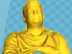 Bust (3D Scan)