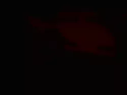 LED Nightlight with projector for toddlers room