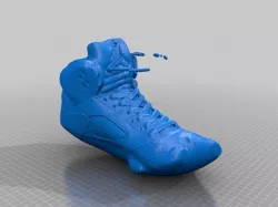 Shoe first scan