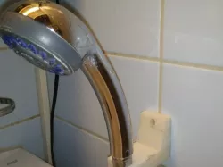 Shower holder