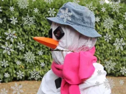Snowman Costume Accessories