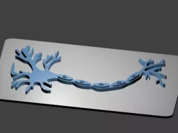 Tactile Neuron Diagram (Unlabeled)