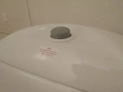 Toilet push button