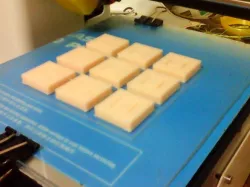 Tolerance Test