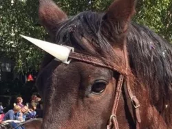 Unicorn horn for a horse's browband