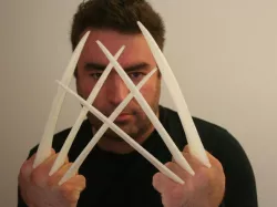 Wolverine Claws