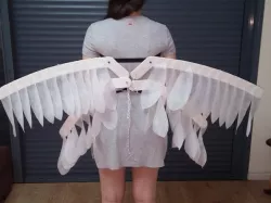 Awesome Moving Wings