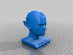 Busto Elfa