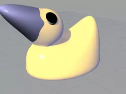 duck practice
