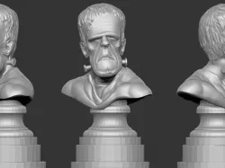 Misc. - Frankenstein Bust (Halloween 2016)