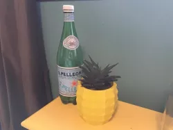 Pineapple Planter