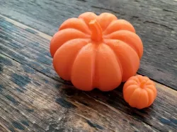 Pumpkin Patch
