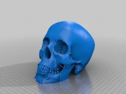Skull-meshmixer supports