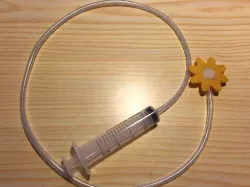 Squirting clown flower