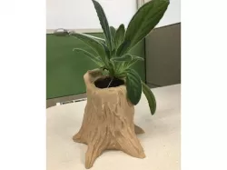 Tree Stump Planter