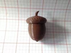 Acorn