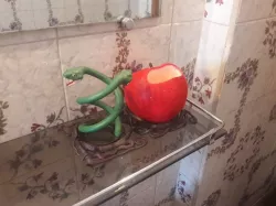 Bathroom stuff holder