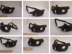 Borg Eye Piece