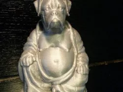 Boxer Buddha