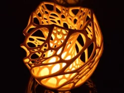 Cellular Lamp diffuser
