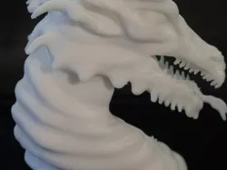 Dragon Bust