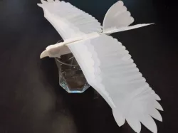 Eagle glider