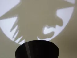 Halloween Witch flashlight proector