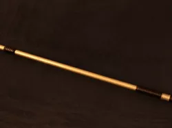 Imperial Guard (Star Wars) Baton