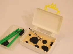 School Survival Case