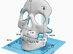 Skull Mask