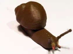 Slug with house (Schnecke mit Haus)