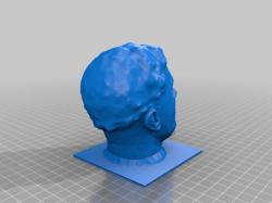 dankpods face 3d models 【 STLFinder