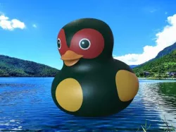 Ginger Duck - Taiwan Style