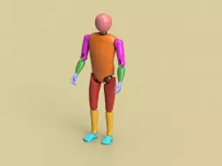 PM Mannequin