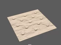 Saltine Cracker