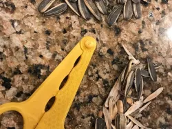 Sunflower Seeds Cracker
