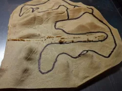 Thunderhill Raceway Elevation Model