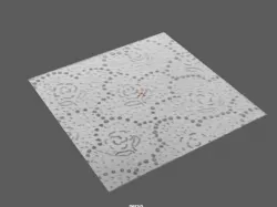 Toilet Paper Square