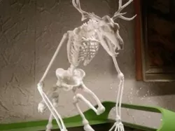 Unknown Creatures N° 1 - Wendigo Skeleton