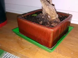 Untersetzer / Schale / coaster / shell