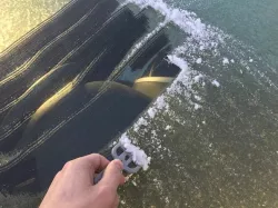 3D Printed Keyring Ice Scraper