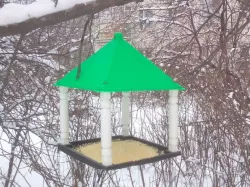 Birds' feeder
