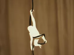 Cable monkey